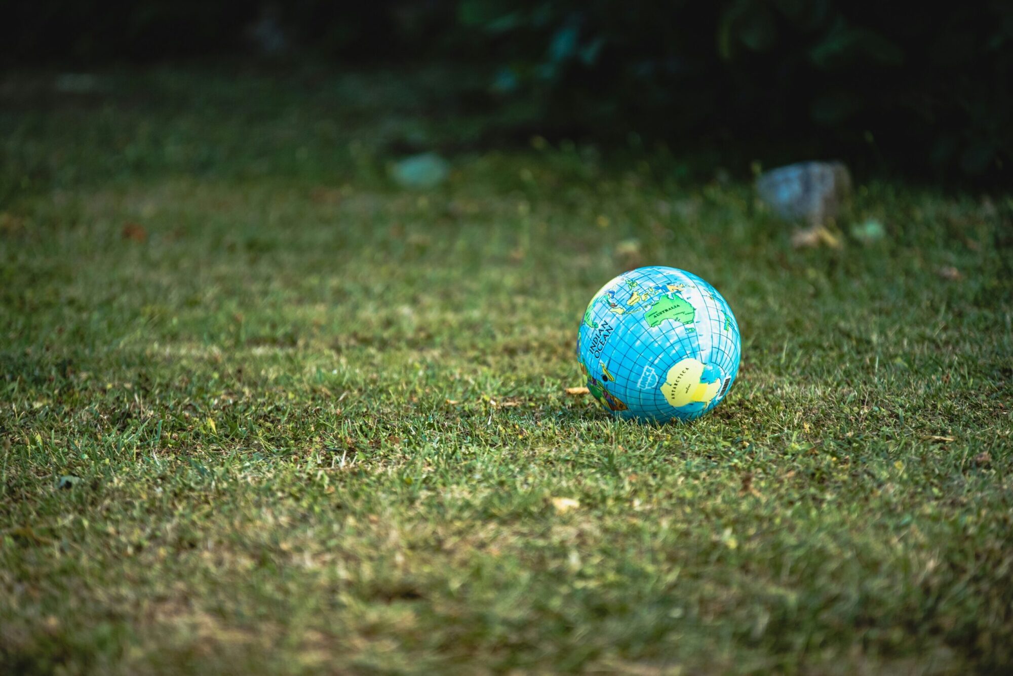 Read more about the article Grow Your Wealth & The Planet: The Ultimate Guide to Socially Responsible Investing (SRI) with AI