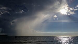 Read more about the article Future-Blind: Are Recent Trends Steering Your Business Off Course? Overcome Recency Bias and Secure Sustainable Growth