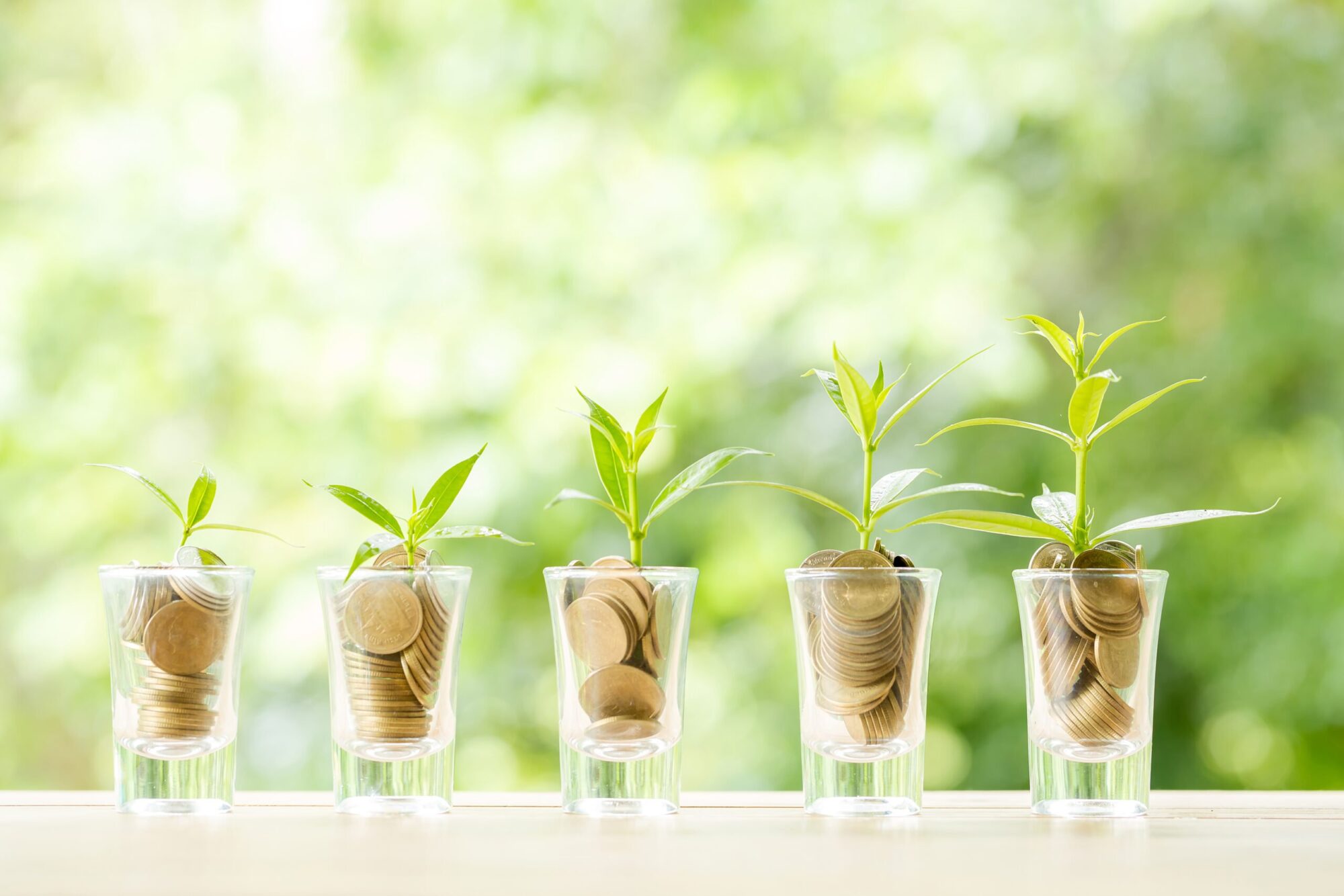 dividend investing cover