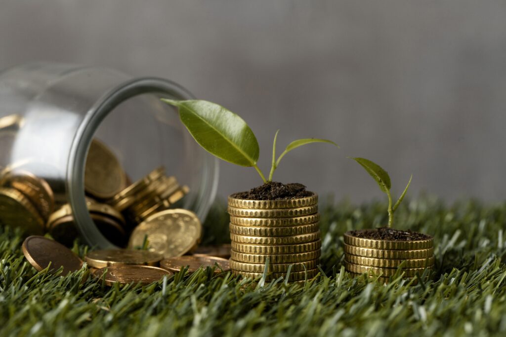 Financial Literacy - Growth