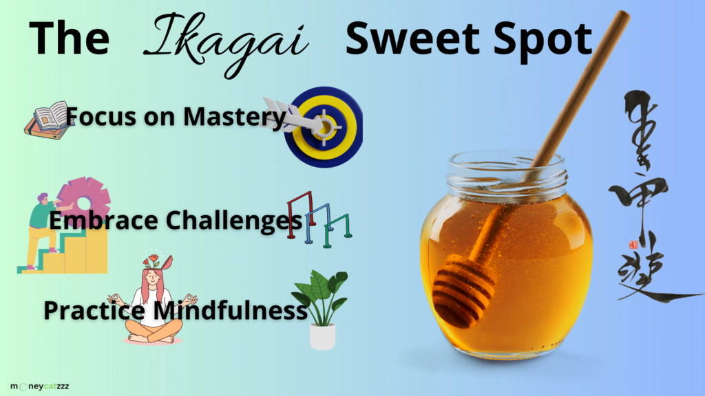 The Power of Ikigai Sweet Spot