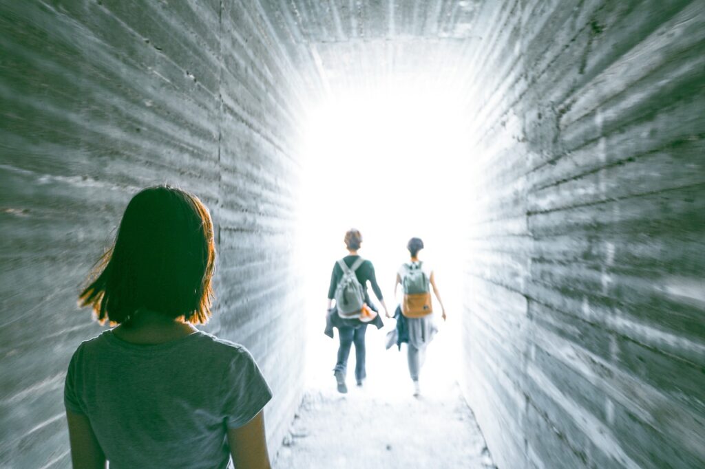 IQ, EQ, SQ, and LQ - The Journey
