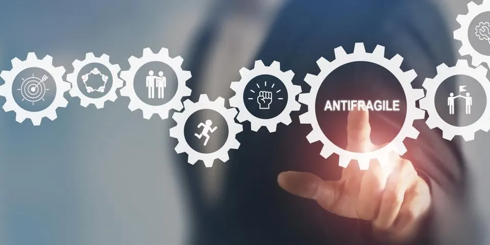 Antifragile Mindset