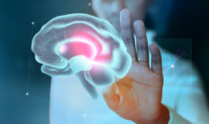 Read more about the article Fight the Fade: 6 Powerful Hacks to Supercharge Your Brainpower