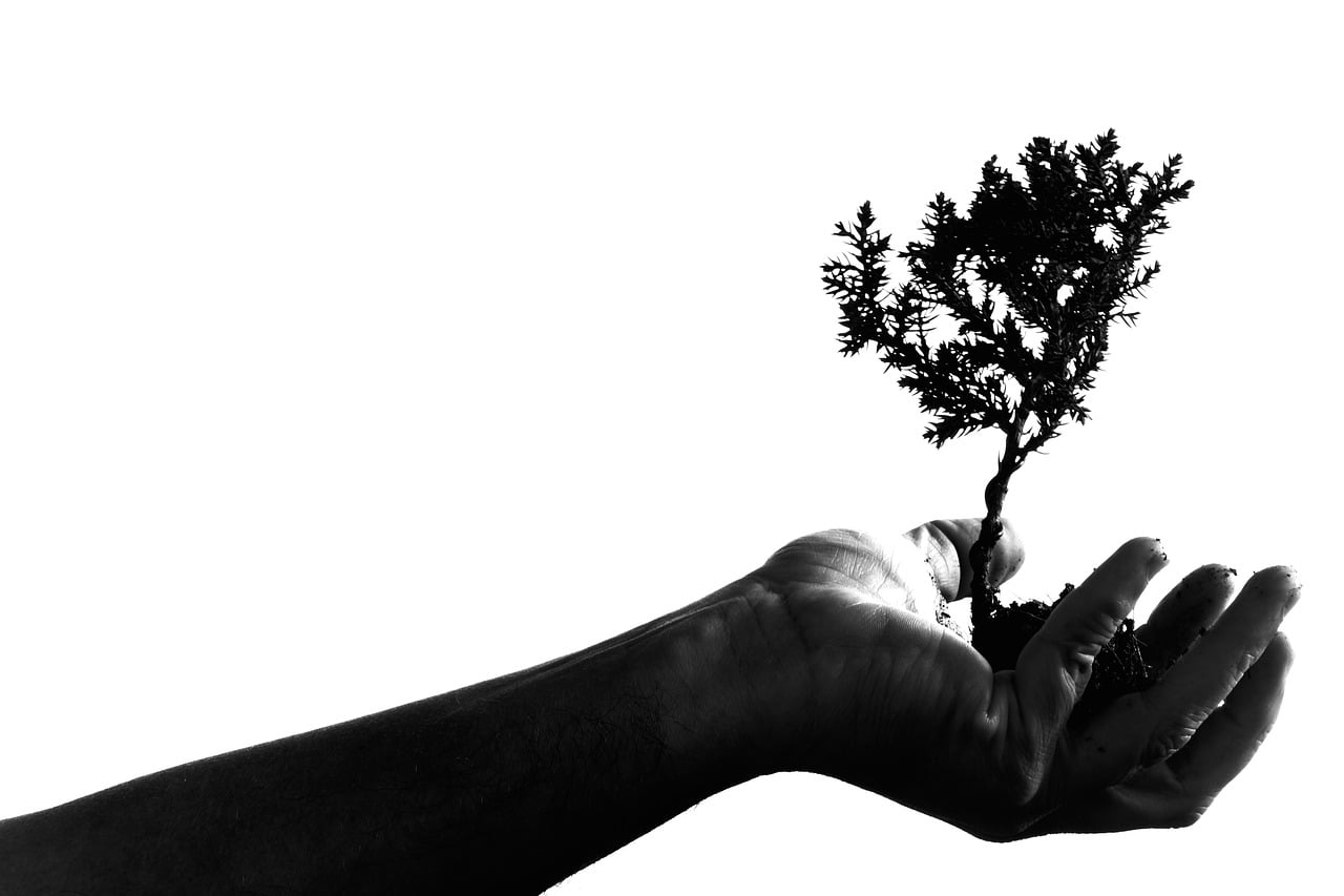 Read more about the article Thriving on Chaos: The Antifragile Mindset for Growth & Success