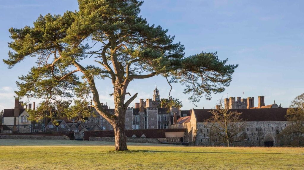 Building Resilience of Oaks Trees