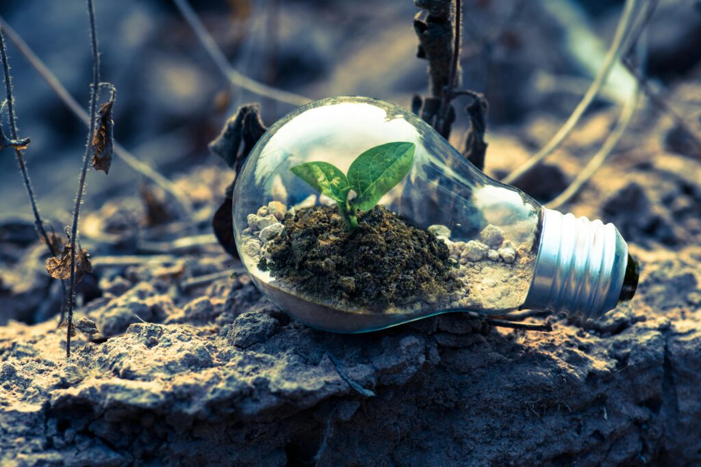 Building Resilience Mindset