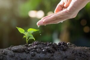 Read more about the article An Entrepreneurial Voyage – Green Business Startup Guide: The Essential Guide for Eco-Entrepreneurs (Part 1)