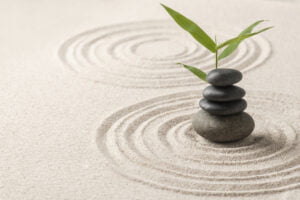 Read more about the article Occam’s Razor: A Sharper Mind for Better Decisions & Clearer Thoughts