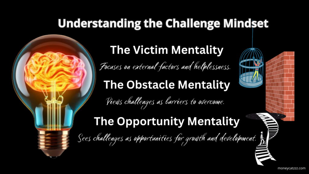 Transforming Challenges into Opportunities Infographic