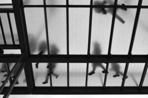 Read more about the article Balancing Transparency and Privacy: Curating Your Online Narrative
