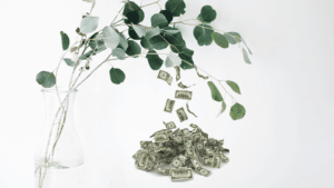 Read more about the article Minimalist Personal Finance: Less Stress, More Wealth