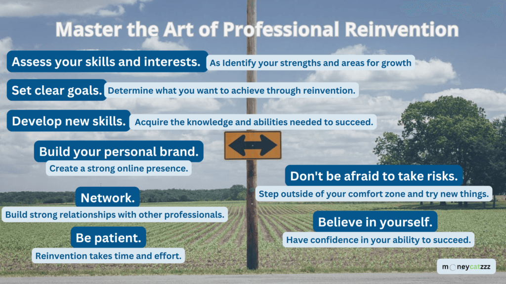 Professional Reinvention