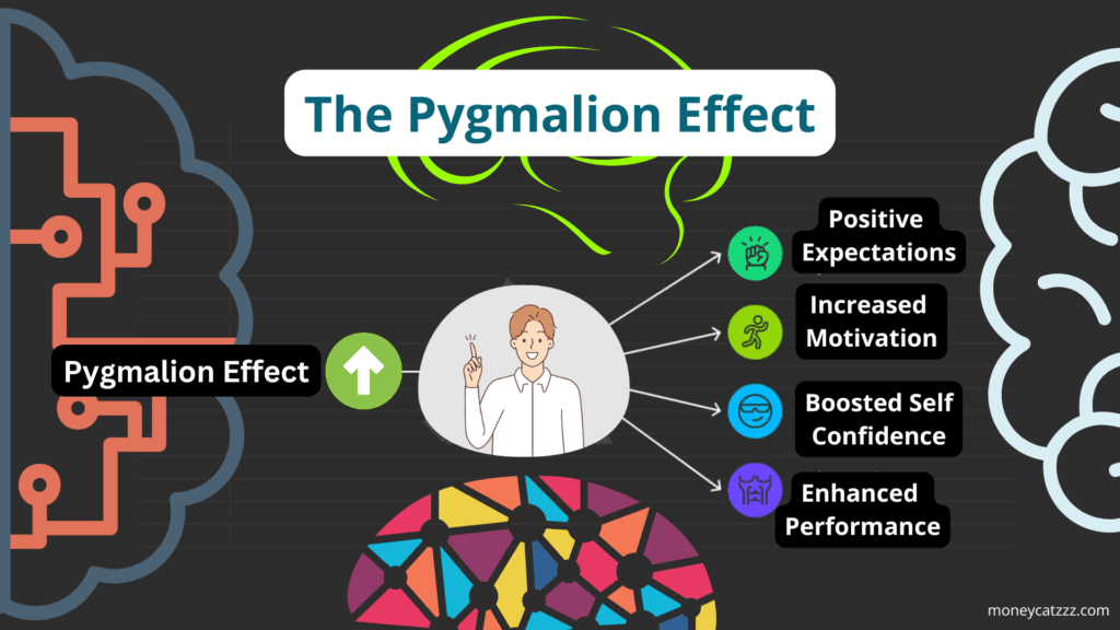 Pygmalion Effect Infographic