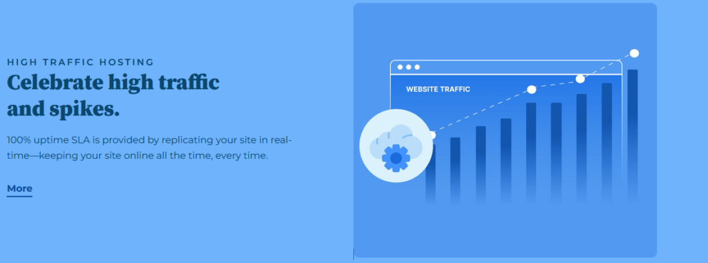 Bluehost Performances