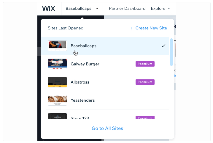 WiX Review - Dashboard Access 102