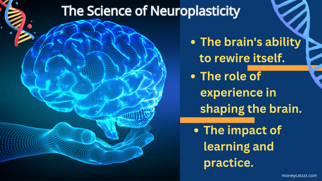 Neuroplasticity 101