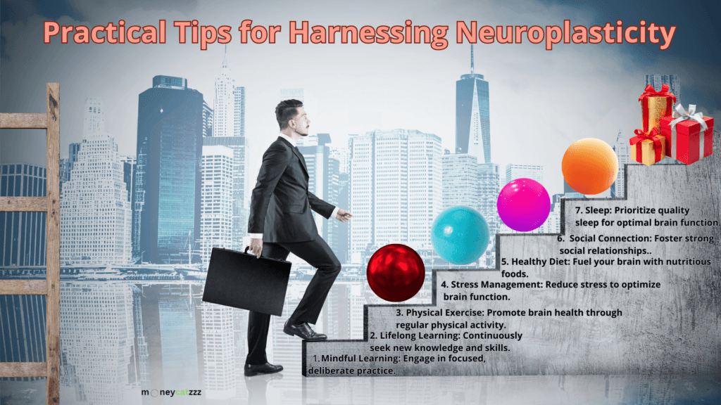 Neuroplasticity Infographic