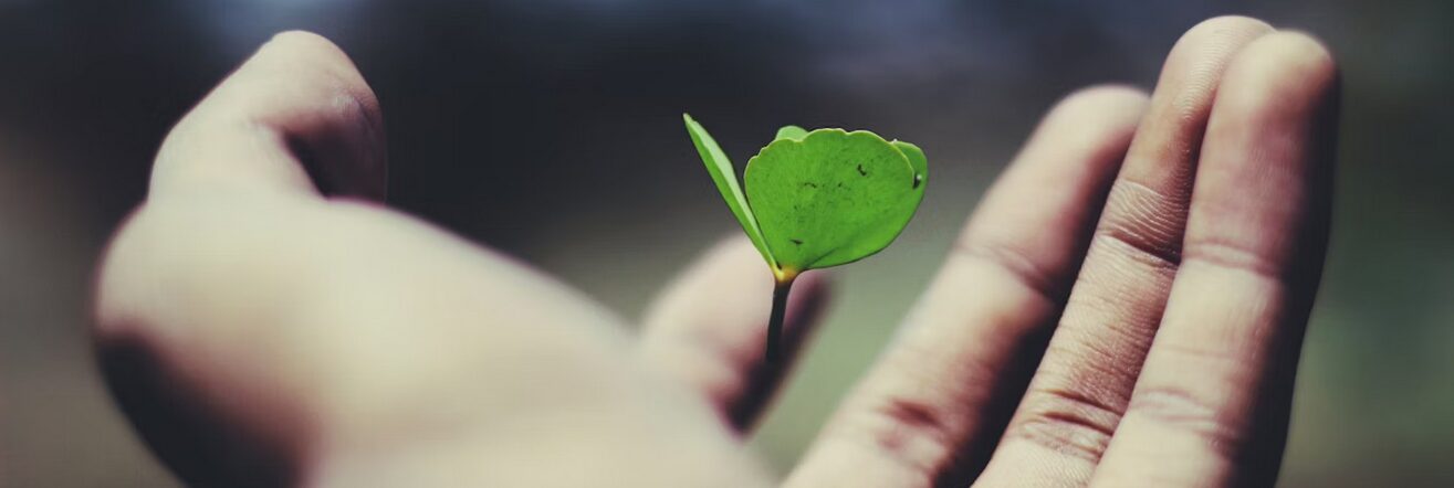 Personal Growth Cover
