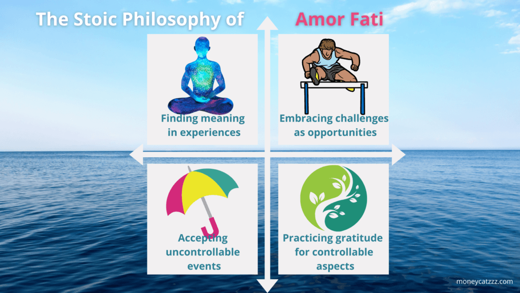 Amor Fati Infographic 1