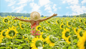 Read more about the article Defeat Scarcity: Nurture a Mindset of Abundance