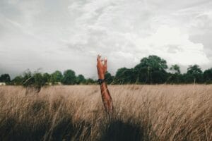 Read more about the article I see You: The Transformative Impact of Consideration