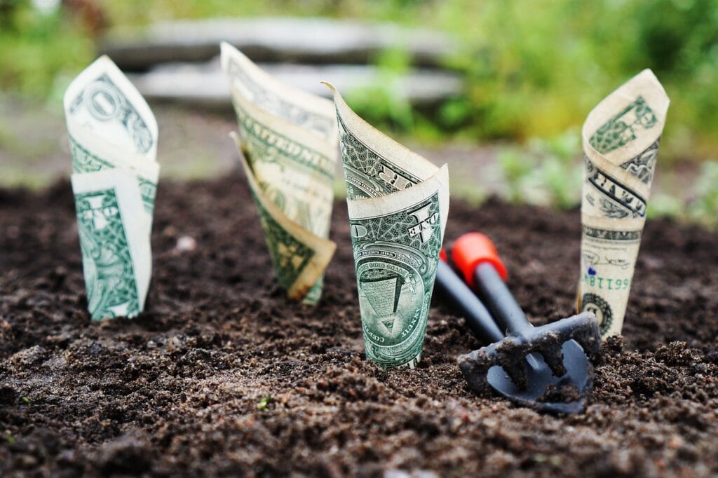 abundance mindset nurturing