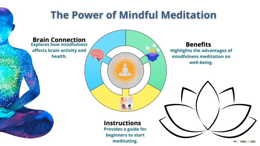 Focus - Infographic 2