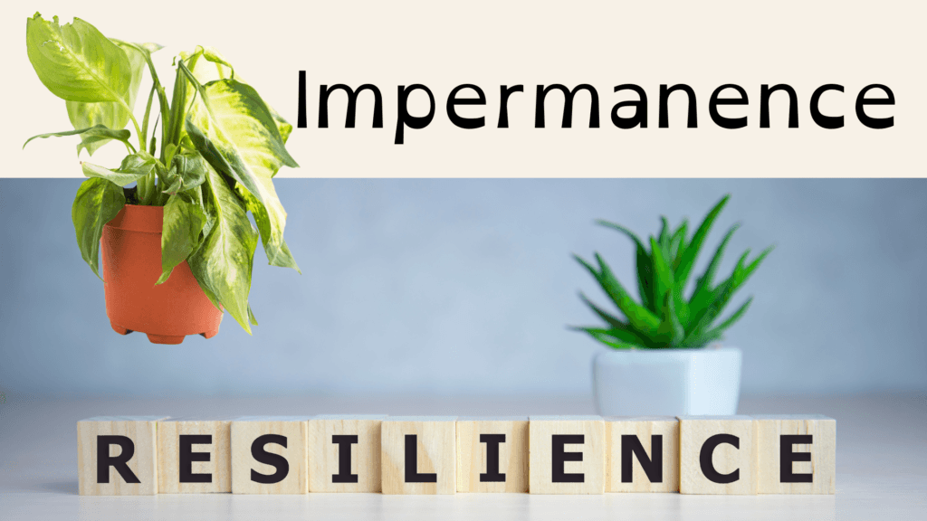 Impermanence - Resilence