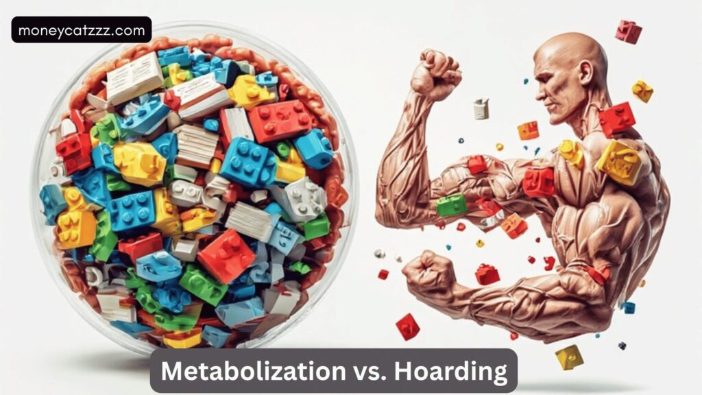 knowledge retention - Metabolization vs. Hoarding